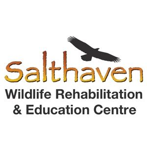 Salthaven Wildlife Rehabilitation & Education Centre