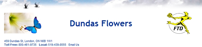 Dundas Flowers