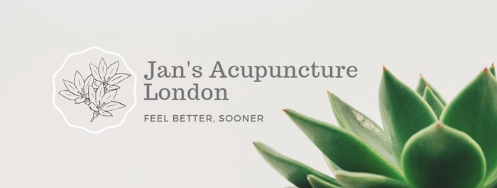Jan's Acupuncture London