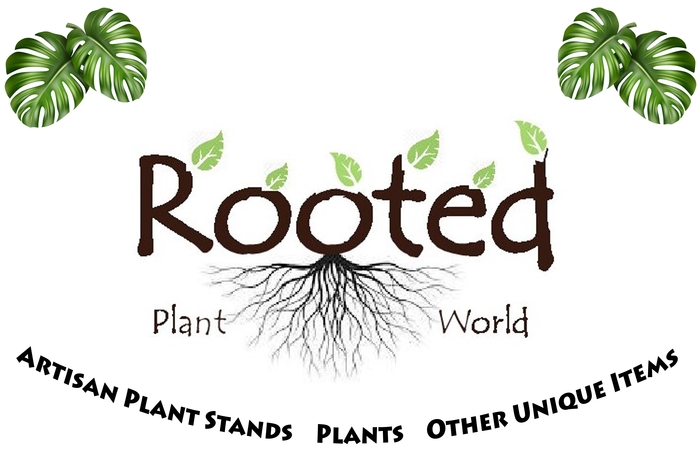 Rooted Plant World
